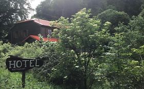 Hotel Restaurant La Fourmi